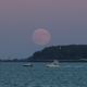 Illustration for article titled Here Are the Best Images of Last Nights Supermoon Eclipse